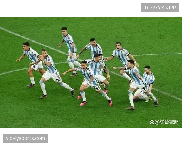 恩佐与麦卡利斯特：世界杯中场组织效率与防守覆盖能力对比